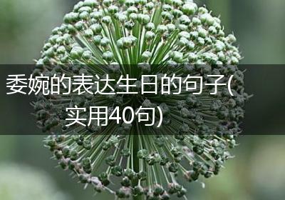 委婉的表达生日的句子(实用40句)
