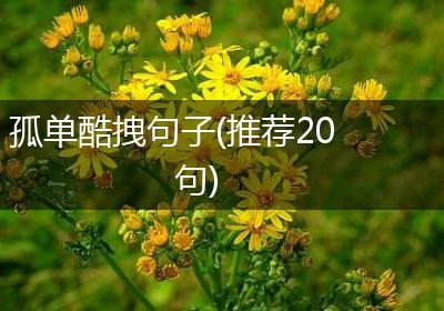孤单酷拽句子(推荐20句)