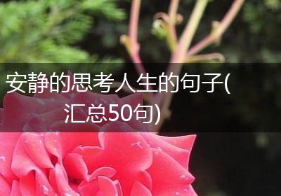 安静的思考人生的句子(汇总50句)