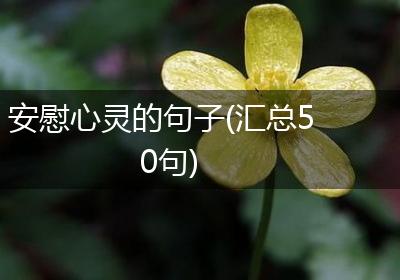 安慰心灵的句子(汇总50句)