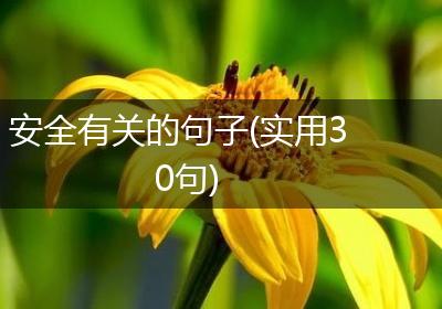 安全有关的句子(实用30句)