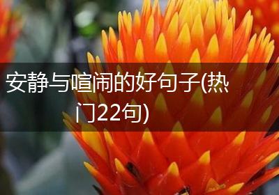 安静与喧闹的好句子(热门22句)