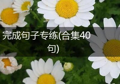 完成句子专练(合集40句)