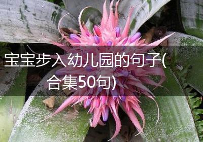 宝宝步入幼儿园的句子(合集50句)