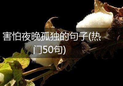 害怕夜晚孤独的句子(热门50句)