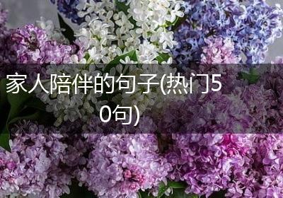 家人陪伴的句子(热门50句)