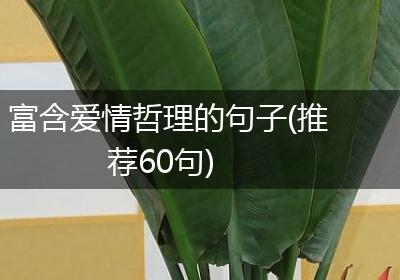 富含爱情哲理的句子(推荐60句)