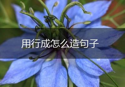 用行成怎么造句子