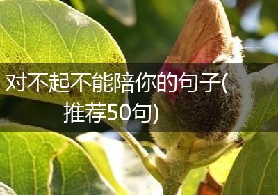 对不起不能陪你的句子(推荐50句)