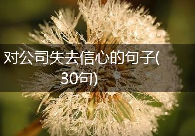 对公司失去信心的句子(30句)