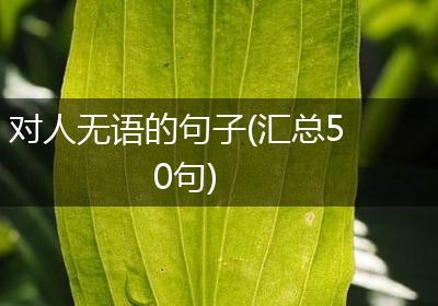 对人无语的句子(汇总50句)