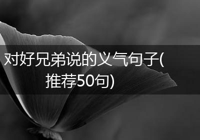 对好兄弟说的义气句子(推荐50句)