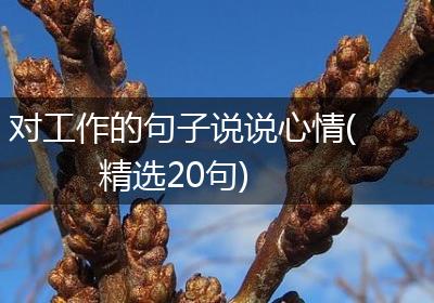 对工作的句子说说心情(精选20句)