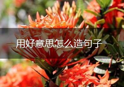 用好意思怎么造句子