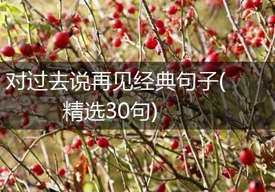 对过去说再见经典句子(精选30句)