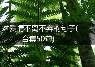 对爱情不离不弃的句子(合集50句)