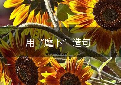 用“麾下”造句
