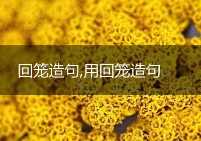 回笼造句,用回笼造句