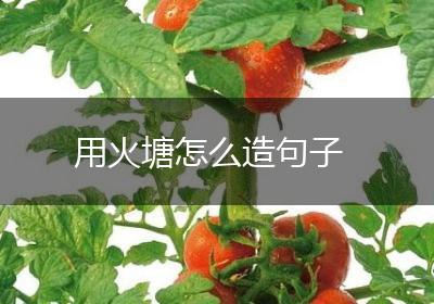 用火塘怎么造句子