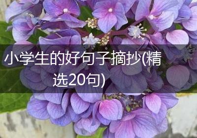 小学生的好句子摘抄(精选20句)