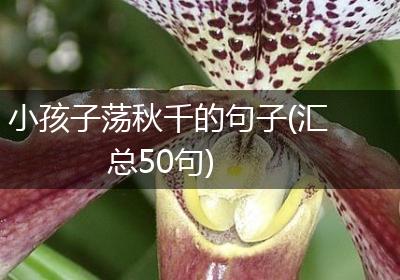 小孩子荡秋千的句子(汇总50句)