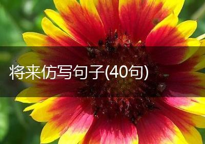 将来仿写句子(40句)