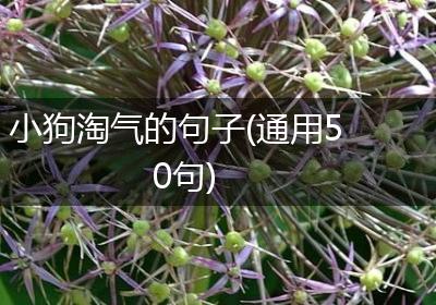 小狗淘气的句子(通用50句)