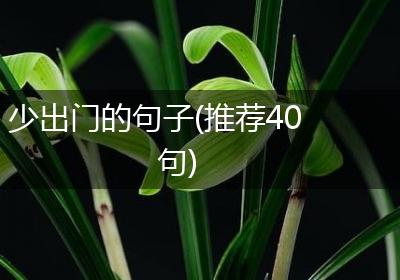 少出门的句子(推荐40句)
