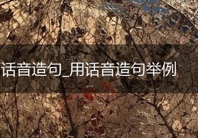 话音造句_用话音造句举例