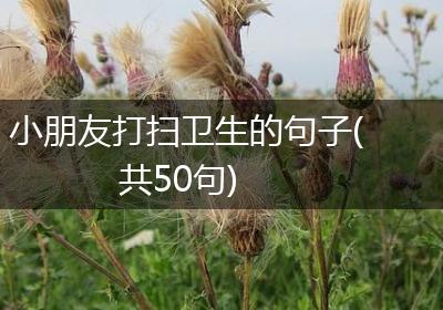 小朋友打扫卫生的句子(共50句)