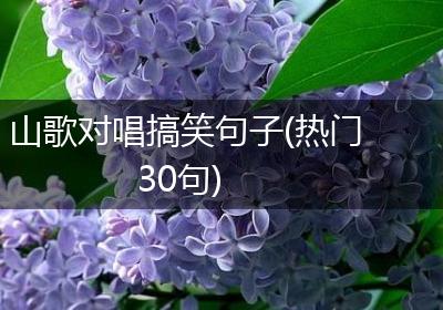 山歌对唱搞笑句子(热门30句)