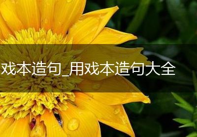 戏本造句_用戏本造句大全