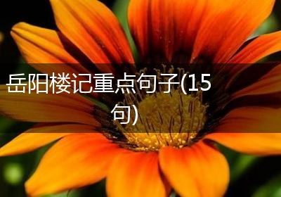 岳阳楼记重点句子(15句)