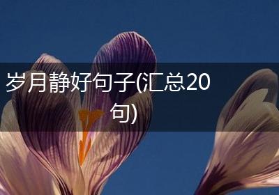 岁月静好句子(汇总20句)