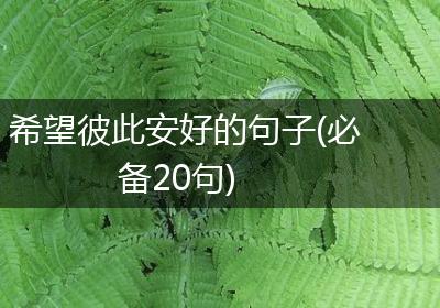 希望彼此安好的句子(必备20句)