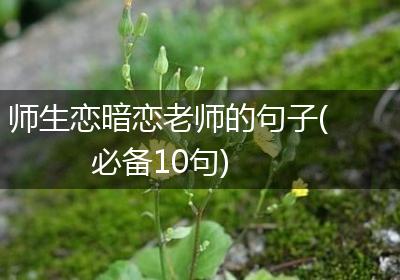 师生恋暗恋老师的句子(必备10句)