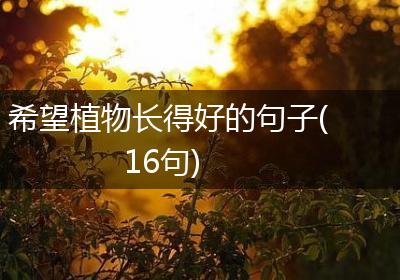 希望植物长得好的句子(16句)