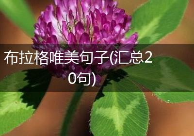 布拉格唯美句子(汇总20句)