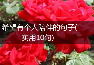 希望有个人陪伴的句子(实用10句)