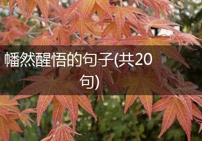 幡然醒悟的句子(共20句)