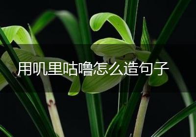 用叽里咕噜怎么造句子