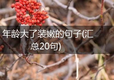 年龄大了装嫩的句子(汇总20句)