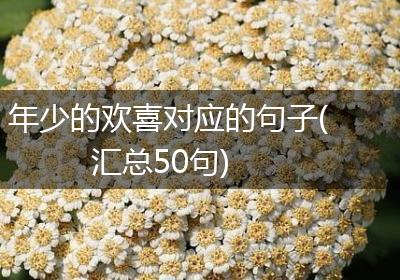 年少的欢喜对应的句子(汇总50句)
