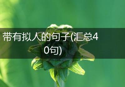 带有拟人的句子(汇总40句)
