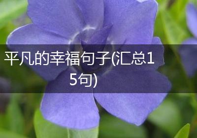 平凡的幸福句子(汇总15句)
