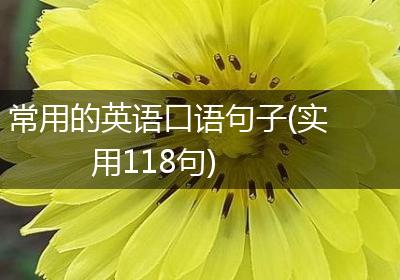 常用的英语口语句子(实用118句)