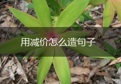 用减价怎么造句子