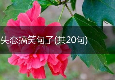 失恋搞笑句子(共20句)