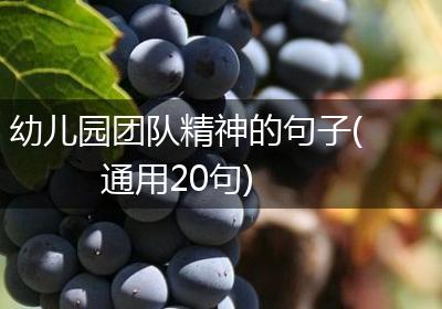 幼儿园团队精神的句子(通用20句)