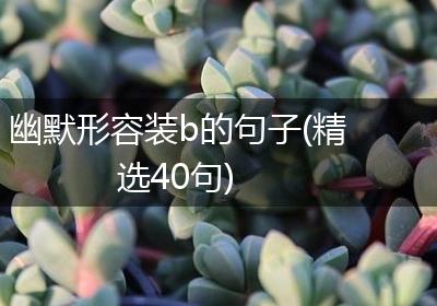 幽默形容装b的句子(精选40句)